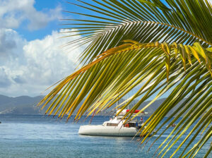 Offres spéciales : Jusqu'à -40% au départ de Tortola ! ⛵